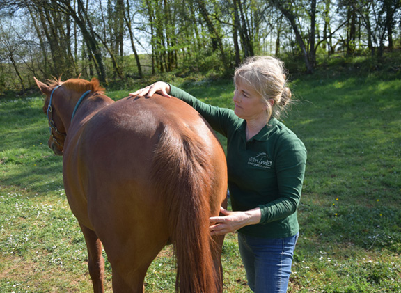 Shiatsu animalier Charente