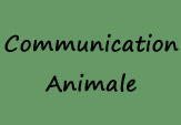 Forme  la Communication animale par Ludivine Carlier Ostopathe DO et animallier, je vous propose des ateliers de communication animale pour vous relier au vivant par l'intuition