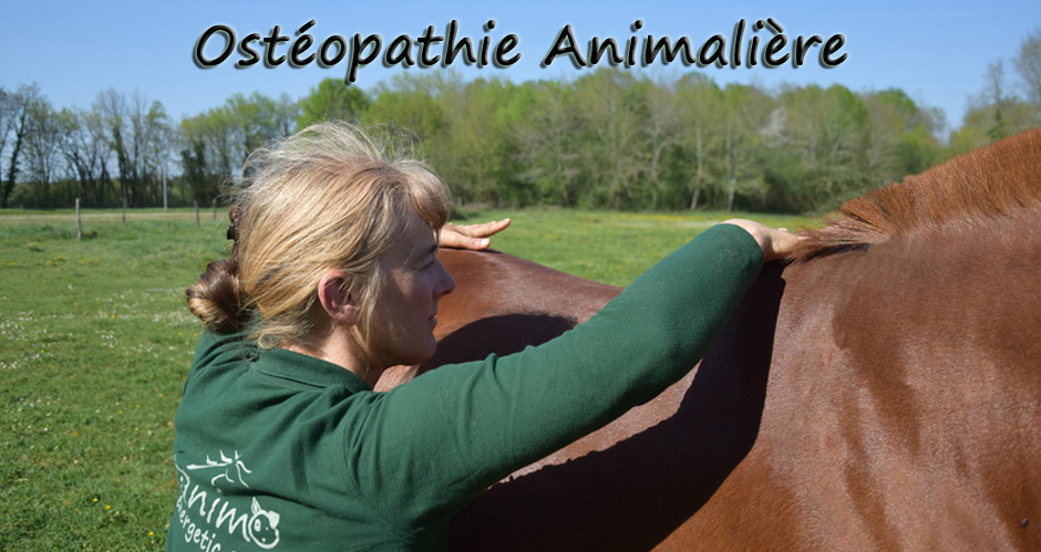 Sandrine Blot Ostopathe Animalier en Charente , Ostopahte animalier en Dordogne, Ostopathe animalier en Haite Vienne
